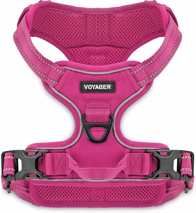 Voyager Dog Harness Dual Leash Attachment No-Pull Control Adjustable Soft but Strong Pet Harness for Medium and Large Dogs with 3M Reflective Technology, Fuchsia Nylon, L (Chest: 25-30")