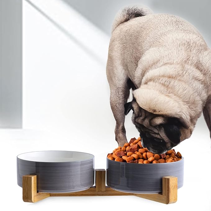 Petygooing Ceramic Cat Dog Bowl Set with Wood Stand, 13.5OZ/5.1 in, Grey White