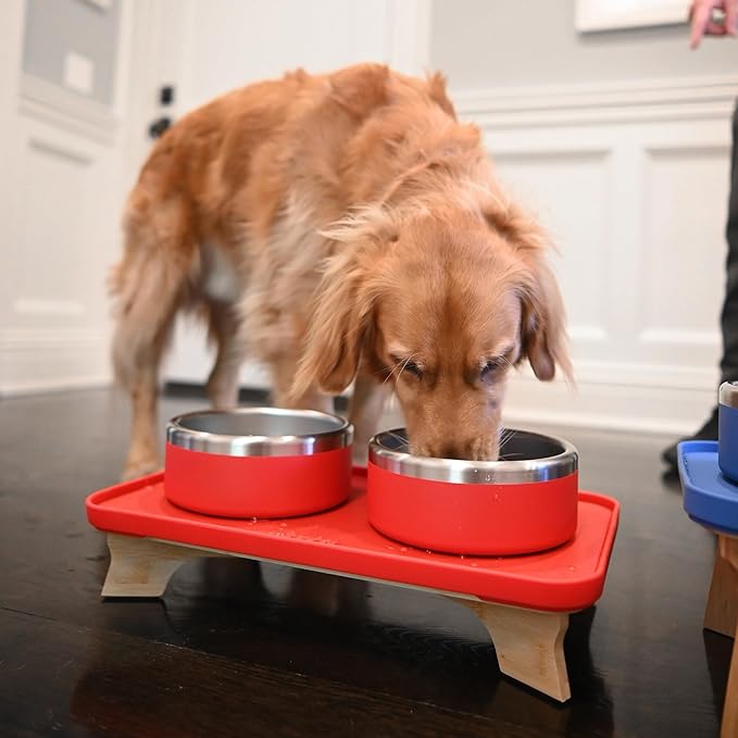 Trot Pets Elevated Dog Bowls | Stainless Steel Raised Bowl Set for Small, Medium, or Large Dogs | Non-Slip Food and Water Slow Feeder | Durable, BPA-Free, Anti-Skid, Dishwasher Safe (Slate, Small)