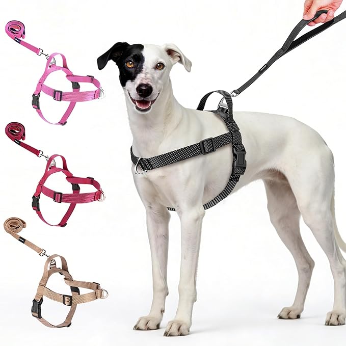 Annchwool No Pull Dog Harness with Front Clip and Easy Control Handle-Belly & Chest Adjustable Dog Harness and Leash Set for Medium Large Dogs-Heavy Duty Vest Harnesses Easy for Walking(Black,XL)