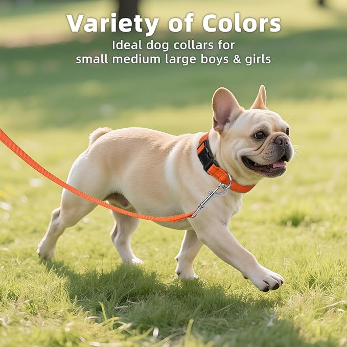 Reflective Dog Collar for Mediunm Dogs, Adjustable Collar with Soft Neoprene Padded, Durable Buckle for Daily Walking,Orange,M, 3/4" Width