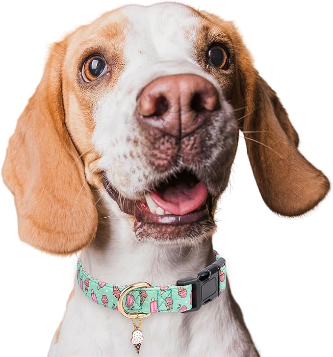 Cotton Dog Collar,Adjustable Cute Puppy Collar with Moon Patterned Design for Small Medium Large Dogs,Soft and Fancy Pet Collar with Safety Buckle for Girl Boy Dogs (Green Ice Cream, S)