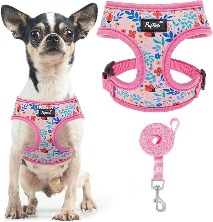 PUPTECK Soft Mesh Dog Harness and Leash Set Pet Puppy Cat Comfort Padded Vest No Pull Harnesses, Pink Floral, XS