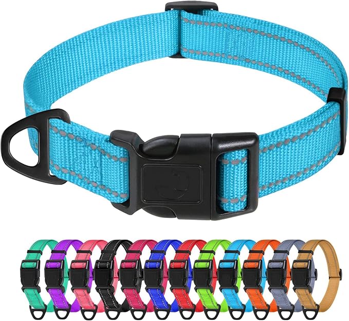 TagME Samll Dog Collars, Adjustable Reflective Nylon Pet Collar with Quick Release Buckle for Small Dogs, Sky Blue, 3/4" Width