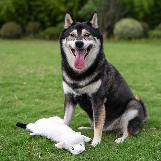 Best Pet Supplies Squeaky Dog Toys with Soft Durable Fabric for Small, Medium and Large Pets Interactive Toy for Indoor Play, Supports Active Biting and Play - Sheep, Small