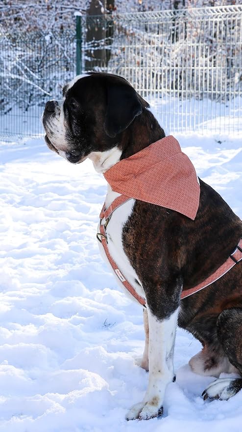 Pettsie Dog Bandana Collar with Matching Friendship Bracelet – Adjustable, Durable Hemp & Soft Cotton, Stylish & Comfortable Pet Bandana, Designed for Dog Lovers, Small, Orange