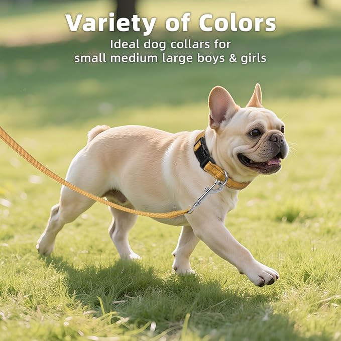 Reflective Dog Collar for Small Dogs, Soft Neoprene Padded with Quick Release Buckle, Adjustable Nylon Pet Collar for Walking,Khaki,S