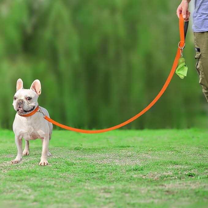 Joytale Dog Leash Heavy Duty for Small Medium Dogs, 4 FT Reflective Nylon Pet Walking Lead with Soft Padded Handle, Durable & Tangle Free for Training, Running & Safety Control, Orange