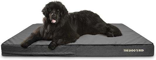 The Dog’s Bed Orthopedic Memory Foam Dog Bed Mattress, Oxford Fabric, Grey with Black Trim, XXXL, 6-Inch