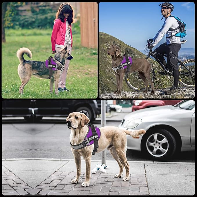 JSXD Dog Harness,No-Pull Service Dog Harness with Handle Adjustable Outdoor Pet Dog Vest 3M Reflective Nylon Material Vest for Breeds,Easy Control for Small Medium Large Dogs