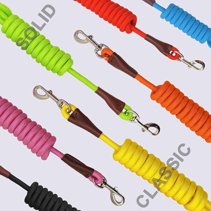MayPaw 4/6 /8/10 FT Dog Leash, Classic Orange, Strong Nylon Rope Dog Leash Reinforced with Leather Tailor Connection Heavy Duty Silver Clasp (4ft*1/2", Orange)