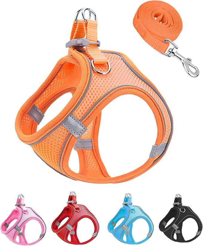 XXXS Orange Soft Mesh Dog Harness and Leash Set,No Escape Puppy Harnesses for Training Walking竊?Reflective Adjustable Puppy Vest for Small Medium Dogs, Cats (Orange, XXXS)