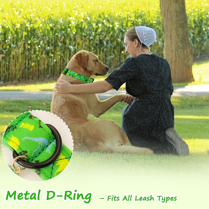 Medium Dog Collars for Male Dogs, Boy Dog Collars with Dinosaur Pattern竊똀djustable Cotton Green Collar for Puppy Dog竊똈deal, Daily Photos & Pet Fashion Accessory