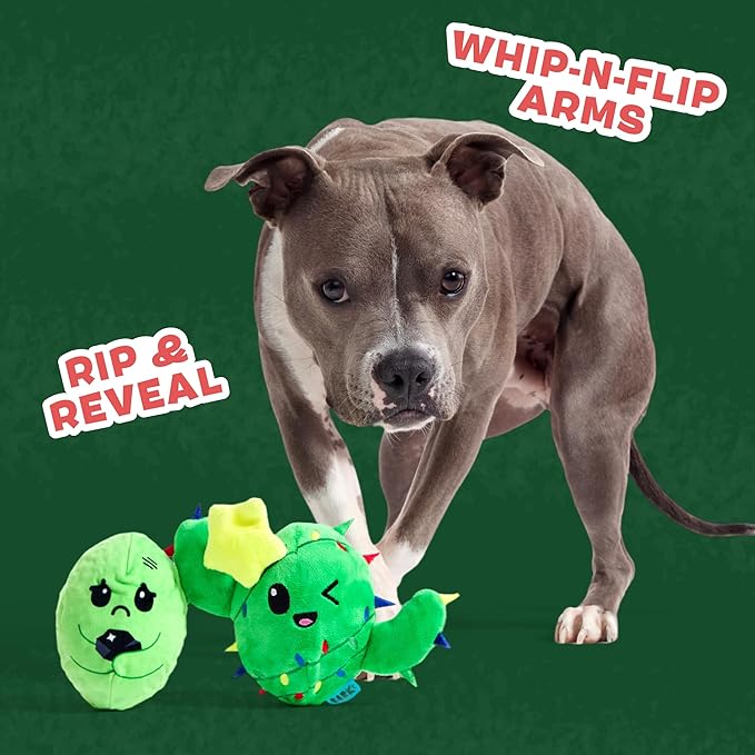 Barkbox Consuela The Christmas Cactus Dog Toy – Plush Rip & Reveal Holiday Toy with Whip-N-Flip Arms, Fluffy Stuffing & Hidden Spiky Ball Squeaker – Festive Play for Large Dogs