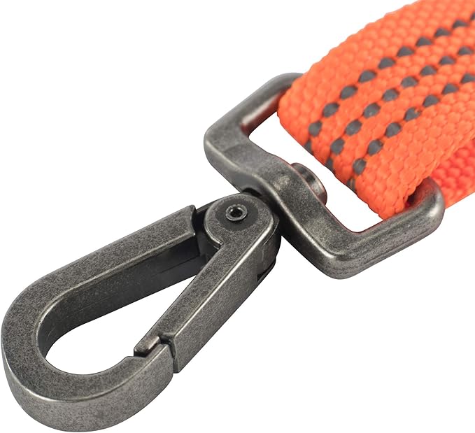 Carhartt Pet Durable Nylon Webbing Leashes for Dogs, Reflective Stitching for Visibility, Hunter Orange (Nylon Webbing), Large