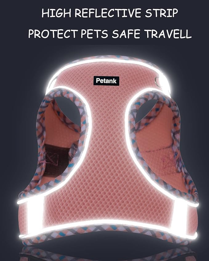 Petank Dog Harness for Small Medium Dogs No Pull, Puppy Harness and Leash Set,Step in Dog Harness for Walking, Running, Training, Small Dog Vest(Light Blue, XXS)