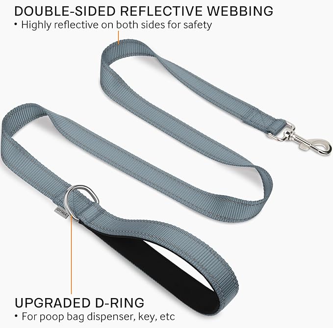 Joytale Dog Leash Heavy Duty for Small Medium Dogs, 4 FT Reflective Nylon Pet Walking Lead with Soft Padded Handle, Durable & Tangle Free for Training, Running & Safety Control, Gray