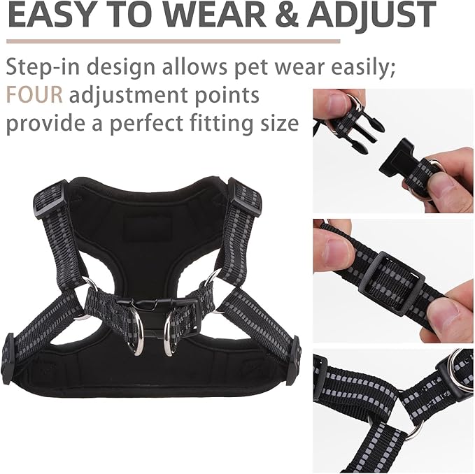 PUPTECK Dog Harness and Leash Set Small Sized, Step in No Pull Adjustable Puppy Cat Harness Reflective Pet Vest