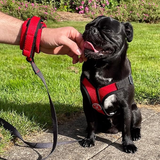 Gooby Soft Mesh Wrist Band Surfer Leash - Flamingo Pink, 6 FT - Comfortable Hands Free Leash with Elastic Band for Small, Medium and Large Dogs