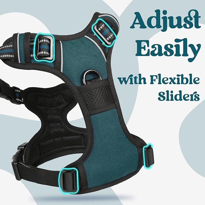rabbitgoo Dog Harness for Large, No Pull Pet Harness with 3 Buckles, Adjustable Soft Padded Vest with Control Handle, Walking Reflective Pet Vest for Large Dogs, Blue Coral, L