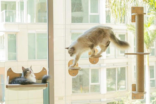 4-in-1 Window & Wall Mount Cat Wall Shelves – Hammock, Scratching Post & Perch | Fits up to 25 lbs | Space-Saving Pet Furniture for Windows, Glass & Drywall | Modern Wood Cat Shelf Set