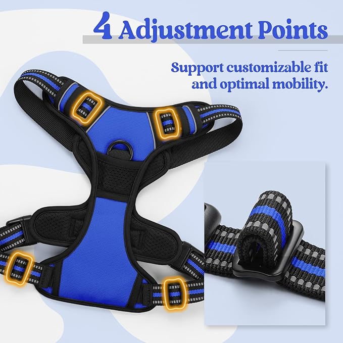 rabbitgoo Dog Harness No Pull with 2 Leash Clips, Adjustable Soft Padded, Reflective Oxford No Choke Pet Vest with Easy Control Handle for Large Dogs, Dazzling Blue, XL