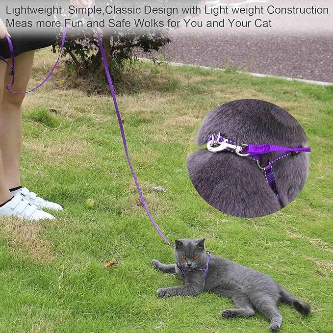 AMAGOOD 6 FT Puppy/Leash, Strong Traditional Style with Easy to Use Collar Hook, Great for Small, Medium and Large Dogs (5/8in x 6 ft, Purple)