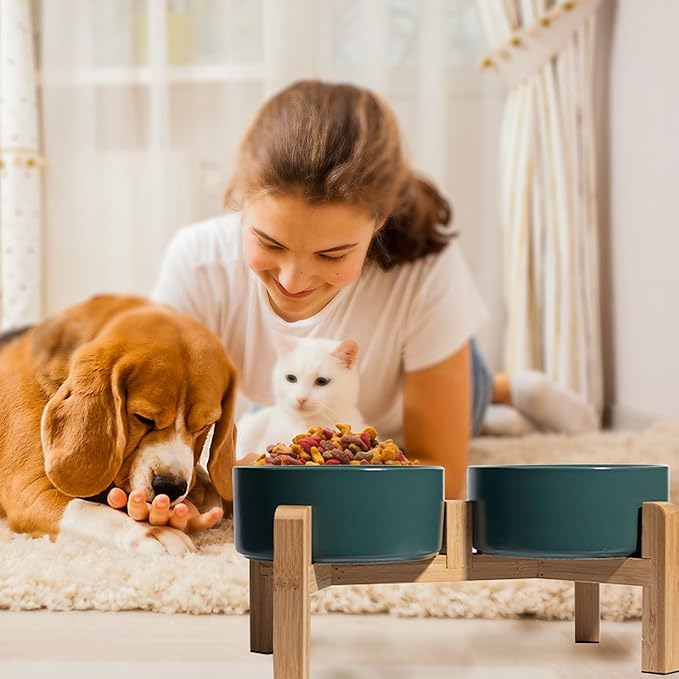 Elevated Ceramic Dog Bowl Set - Raised Dog Bowls with Non-Slip Bamboo Stand - Dog Food and Water Bowl Set - Double Dog Feeding Bowls - Suitable for Small and Medium Dogs - 28.74 OZ - 3.6 CUPS - 850 ML