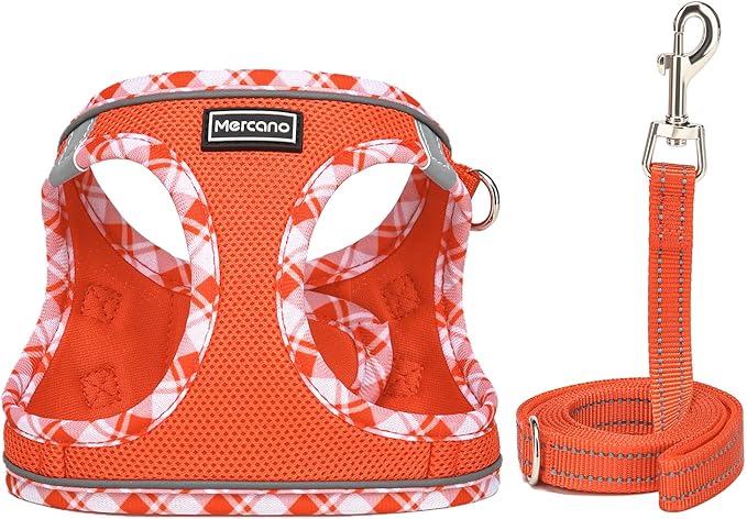 Mercano Soft Mesh Dog Harness and Leash Set, No-Chock Step-in Reflective Breathable Lightweight Easy Walk Vest Harnesses with Safety Buckle for Small Dogs, Cats (Tangerine, XL)