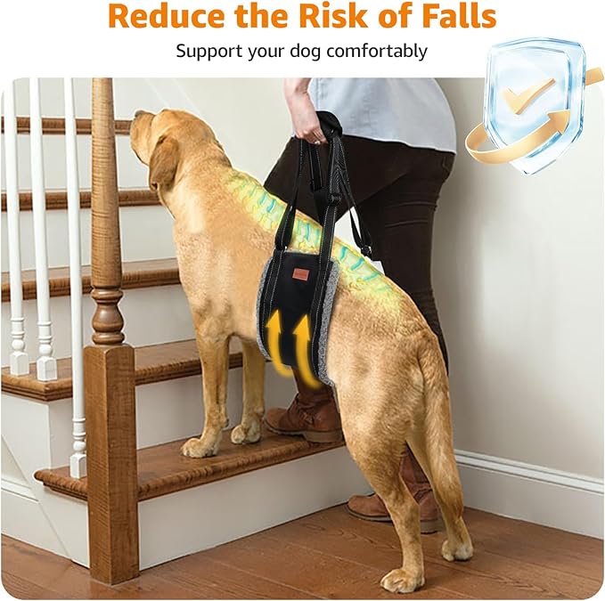 LOOBANI Portable Dog Sling for Back Legs, Hip Support Harness to Help Lift Dogs Rear for Canine Aid and Old K9 Cruciate Ligament Rehabilitation