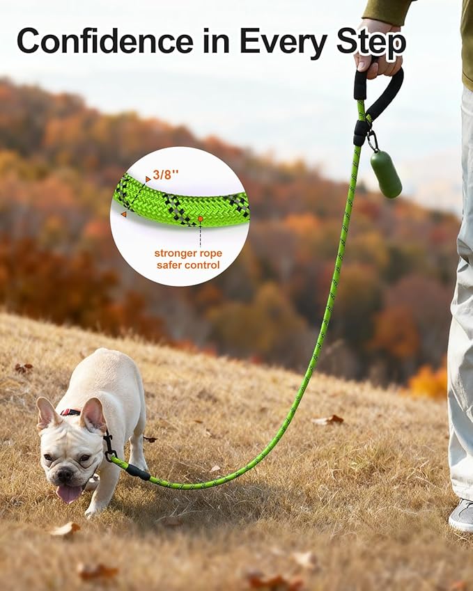 Joytale Dog Leash for Small Dogs, Heavy Duty Nylon Leashes with Comfortable Padded Handle and Highly Reflective Threads, Ideal for Walking and Training, Green, 5'횞3/8''