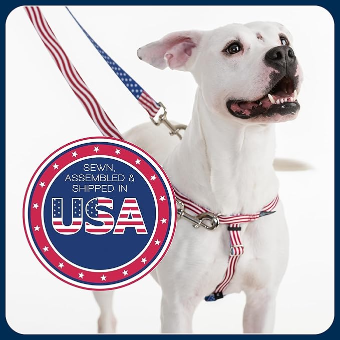 2 Hounds Design - Freedom No-Pull Harness & Training Leash in Blue and Green | Dual Leash Loops, No Pulling on Walks | Lined to Prevent Chaffing | for Large Sized Dogs (Size M, Chest 24”- 28”)
