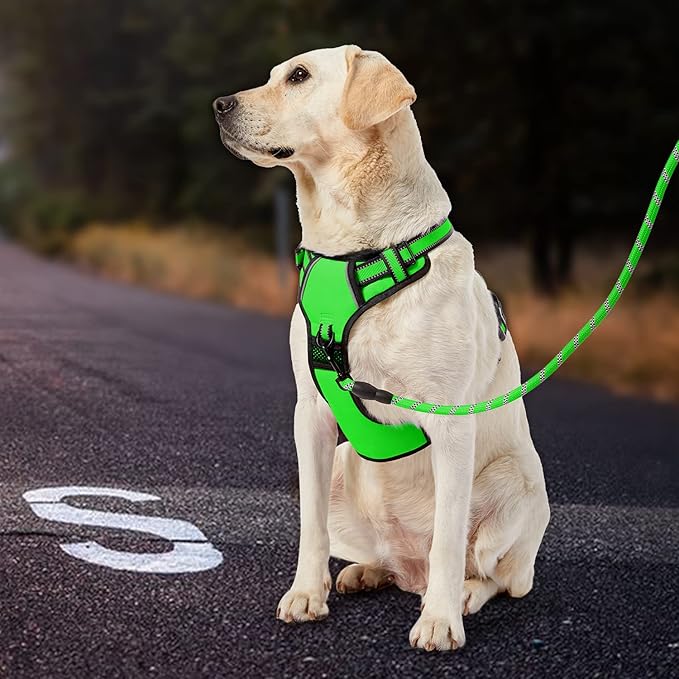 IVY&LANE No Pull Dog Harness for Medium Dogs, Dog Vest Harness with Leash, Safety Belt and Storage Strap, Fully Adjustable Harness, 360° Reflective Strip, Soft Handle (Green,M)