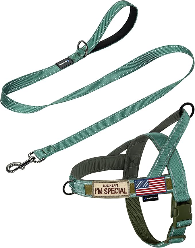 Annchwool No Pull Dog Harness with Padded Handle+5 Ft Leash,Reflective Strip Escape Proof and Quick Fit to Adjust Dog Harness,Easy for Training Walking for Small & Medium and Large Dogs(Green-Set,L)
