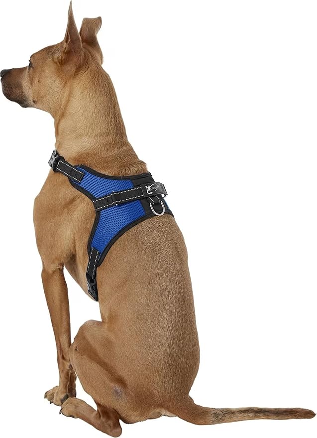 No Pull Reflective Adjustable Dog Harness with Handle- Comfortable Soft All Weather Mesh, Easy On Puppy Harness for Small Medium and Large Dogs (Blue) Large
