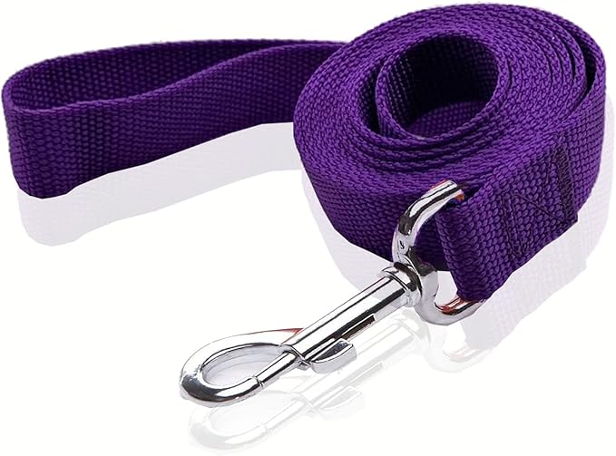 Nylon Dog Leash 16 Feet Long, Walking Training Dog Leashes for Medium Large Dogs(1" X 16 ft, Purple)
