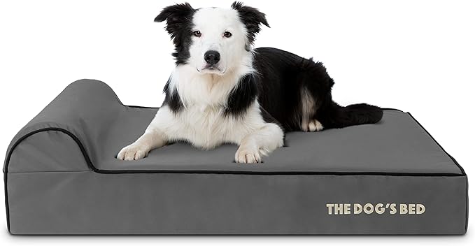 The Dog’s Bed Orthopedic Memory Foam Dog Bed with Headrest, Oxford Fabric, Grey with Black Trim, L, 6-Inch