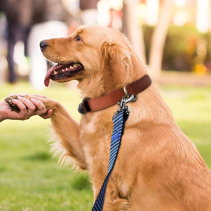 Hi Kiss Dog/Puppy Obedience Recall Training Agility Lead - 15ft 20ft 30ft 50ft 100ft Training Leash - Great for Training, Play, Camping, or Backyard(20ft,Black_Blue)