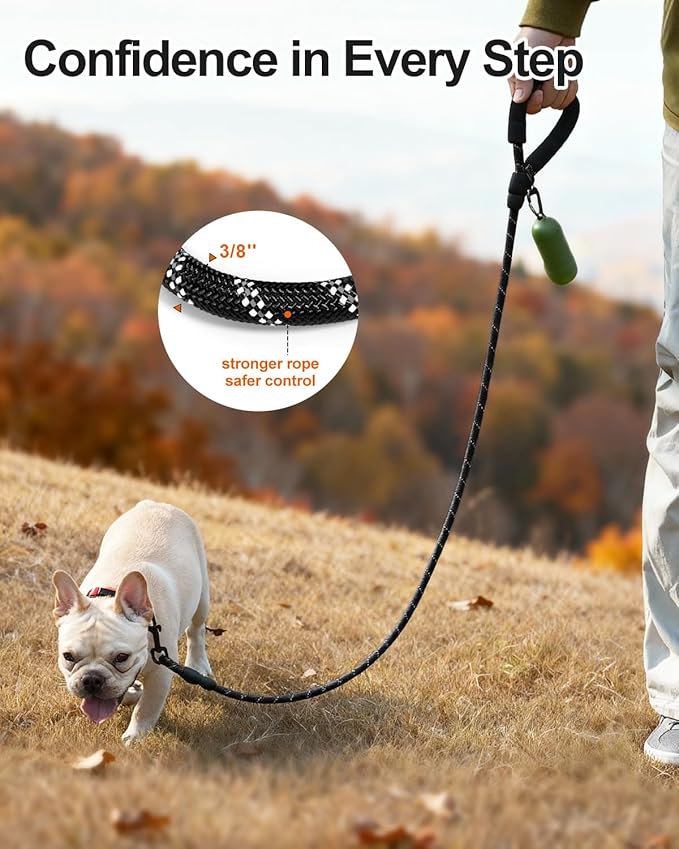 Joytale Dog Leash for Small Dogs, Heavy Duty Nylon Leashes with Comfortable Padded Handle and Highly Reflective Threads, Ideal for Walking and Training, Black, 5'횞3/8''