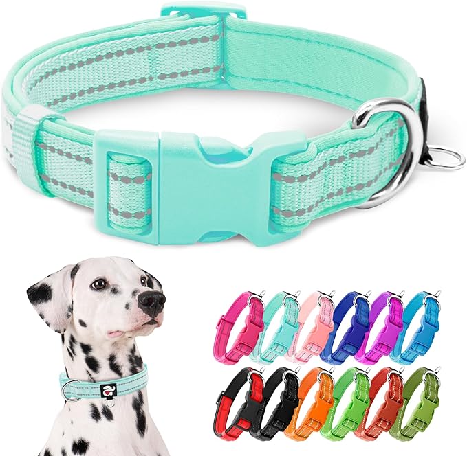 azuza Reflective Dog Collar,Soft Neoprene Padded Pet Collar with ID Tag Ring,Adjustable for Large Dogs,Teal,L