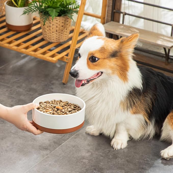 MALACASA Dog Bowls, Ceramic Dog Food and Water Bowls for Medium Size Dogs, 3.5 Cups Capacity Pet Bowl for Medium Dogs (M-3.5 Cups)