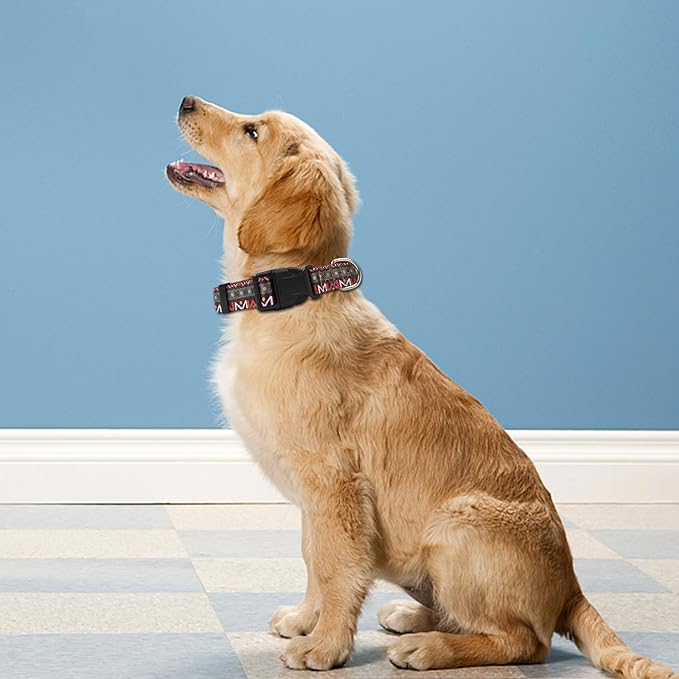 Reflective Dog Collar, Adjustable Soft Neoprene Padded Nylon Pet Collars with Buckle for Puppy and Small Dogs, Cats, Retro Geometric Flowers,L