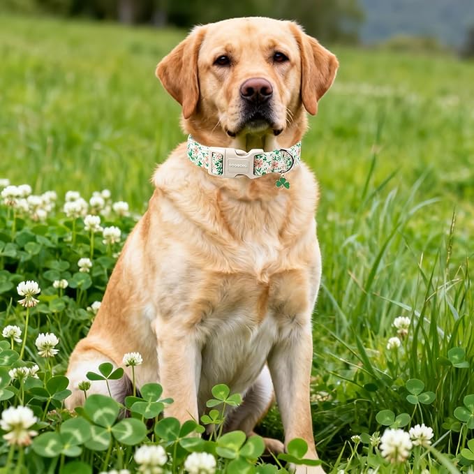 DOGWONG St Patrick's Dog Collar, Green Clover Pet Collar Cotton Flower Shamrock Pet Collar Cute Puppy Collar Adjustable Pet Dog Collars for Large Dogs,L