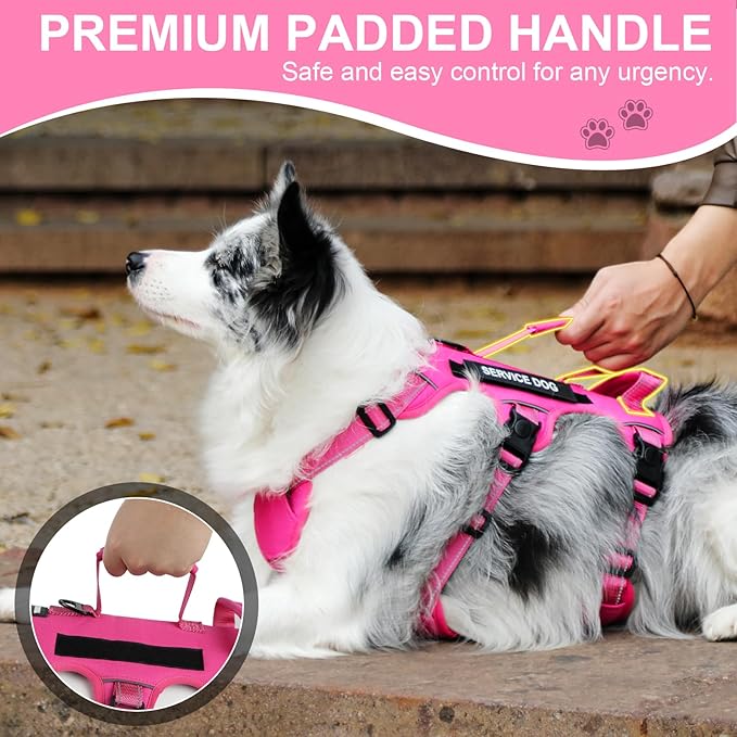 Escape Proof Dog Harness for Large Medium Sized Dogs Six Point Adjustable, Service Dog Vest Harness and Leash Set, No Pull Dogs Harnesses with Handle, Medium Dog Harnesses for Walking(Pink, M)
