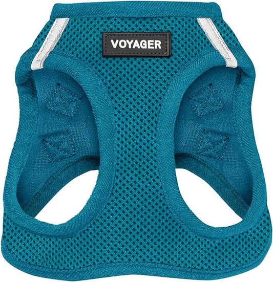 Best Pet Supplies Voyager Step-in Air Harness - All Weather Mesh, Reflective, No Pull Harness for Dogs, Cats - Secure with Hook & Loop Fastener, Buckle, Double D-Rings - Turquoise, L