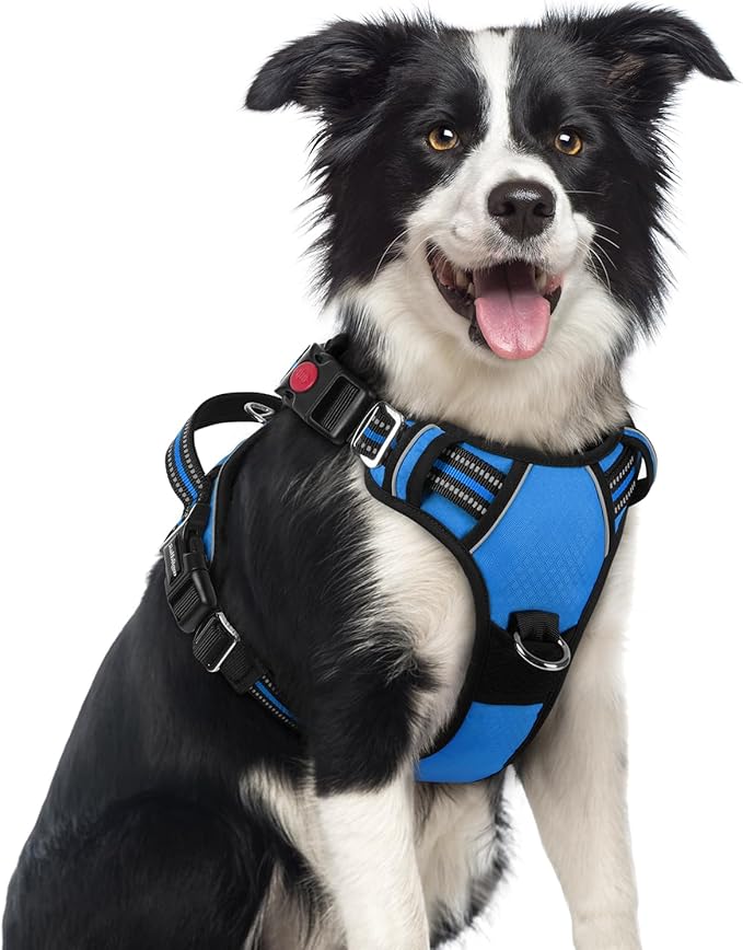 rabbitgoo Dog Harness Medium Sized, No Pull Dog Vest with 3 Buckles, Adjustable Soft Padded Pet Harness with Easy Control Handle and Reflective Strips, Blue, M