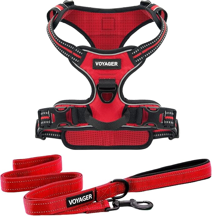 Voyager Dog Harness Dual Leash Attachment No-Pull Control Adjustable Soft but Strong Pet Harness for Medium and Large Dogs with 3M Reflective Technology, Leash Set Red Nylon, M (Chest: 20-25")