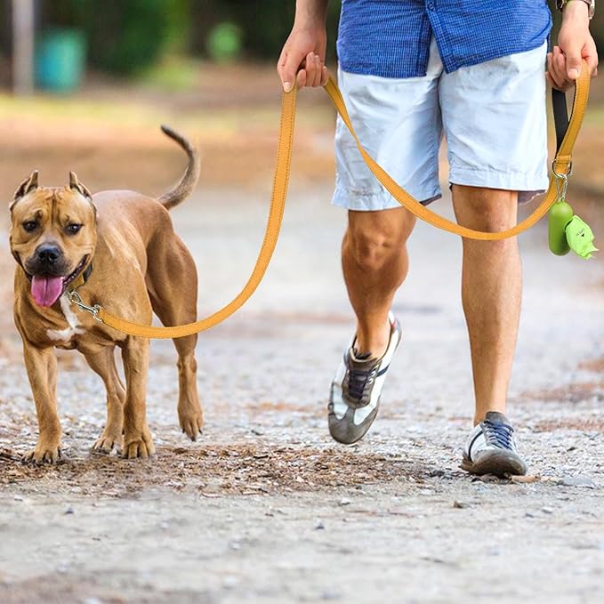 Joytale Dog Leash Heavy Duty for Large Medium Dogs, 6 FT Reflective Nylon Pet Walking Lead with Soft Padded Handle, Durable & Tangle Free for Training, Running & Safety Control, Khaki