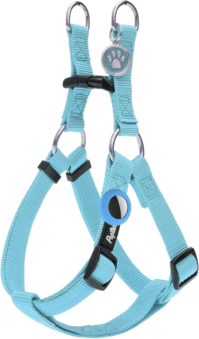 PUPTECK No Pull Dog Harness Soft Adjustable Basic Nylon Step in Puppy Vest Outdoor Walking with ID Tag and A-ir Tag Case, Sky Blue, M