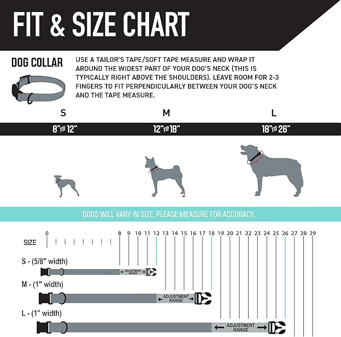 Wolfgang Heavy Duty, Adjustable Dog Collar with Quick Release Nylon Buckle for Walking & Training, FuzzyTails Print, Small
